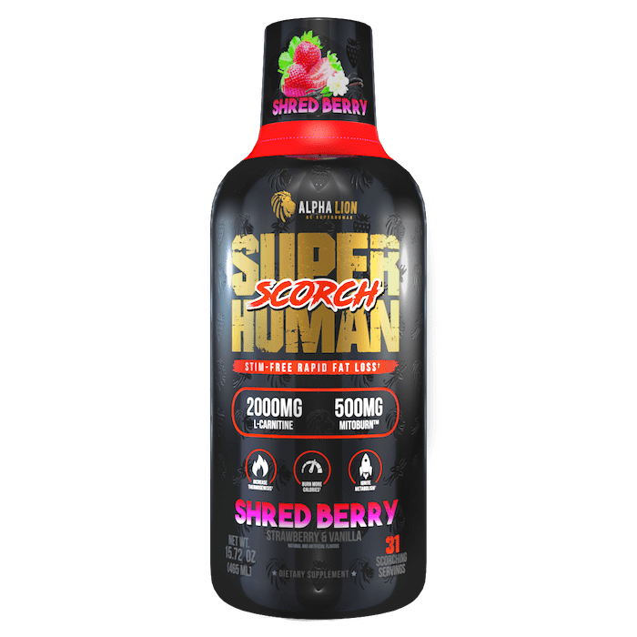 BURN 2.0 - Nutritional Supplement Store NJ - Best Vitamins online New Jersey - fitland.nj
