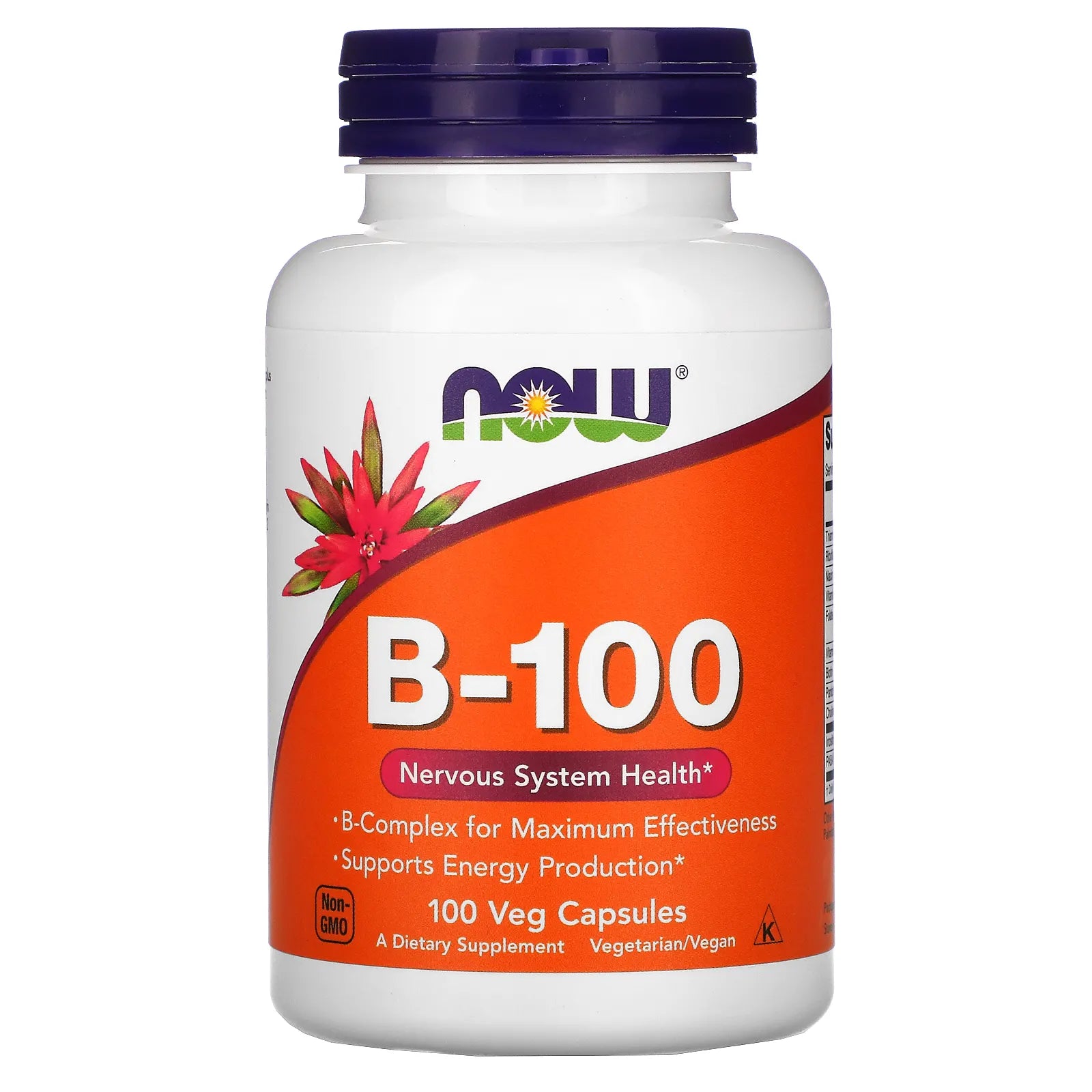 B100 - Nutritional Supplement Store NJ - Best Vitamins online New Jersey - fitland.nj